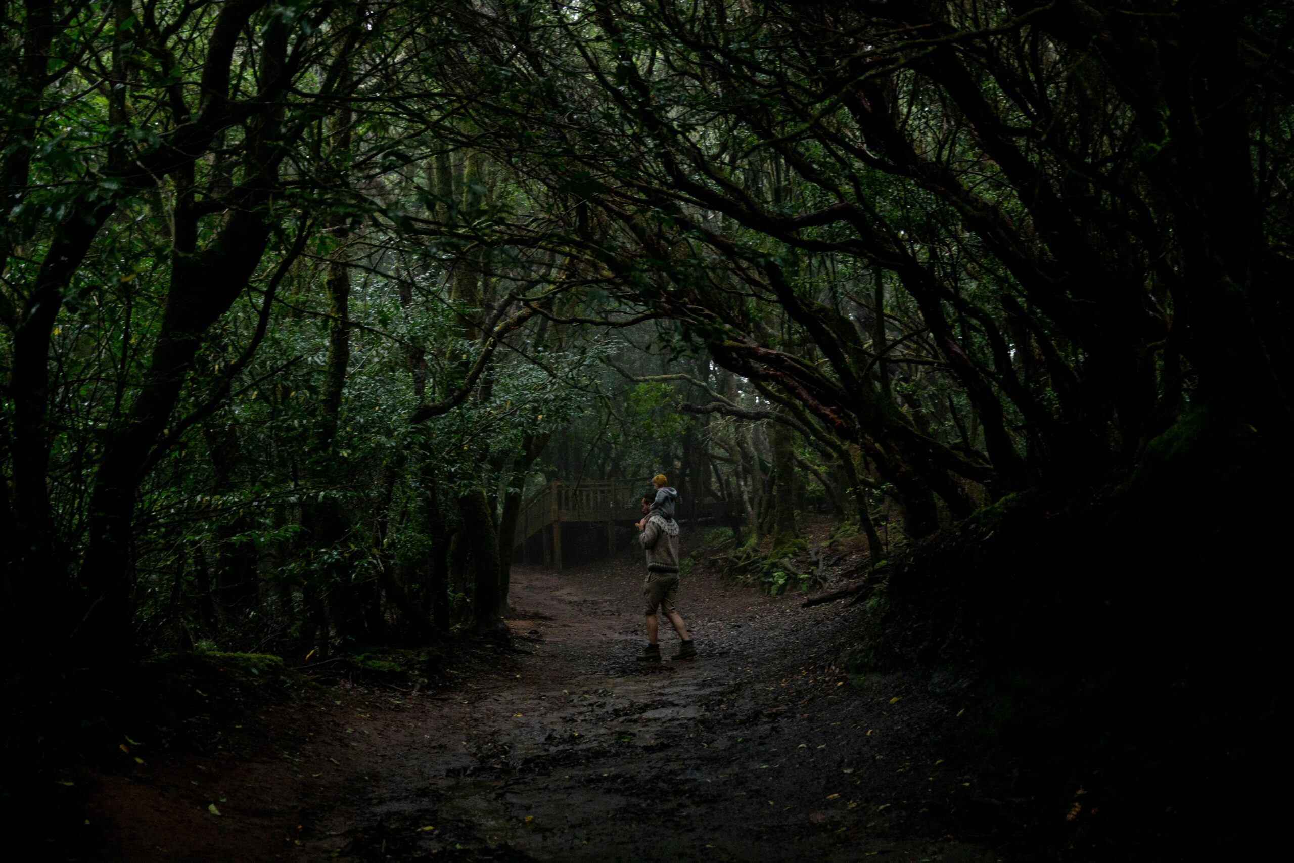 Hãy dành thời gian đọc sách cùng con mỗi ngày để mở cánh cửa tri thức, khơi dậy trí tưởng tượng và nuôi dưỡng tâm hồn con.