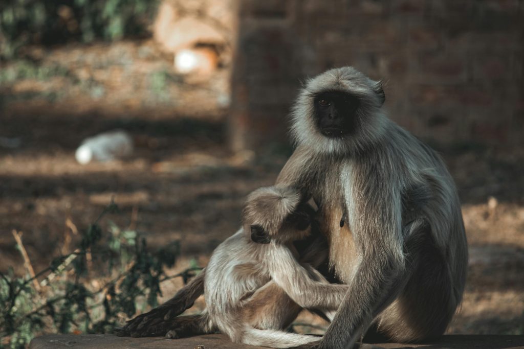 Làm thế nào để chúng ta có thể bảo vệ con khỏi môi trường ô nhiễm khi mà ngay cả trong chính ngôi nhà của mình, chúng ta cũng không thể kiểm soát hoàn toàn?